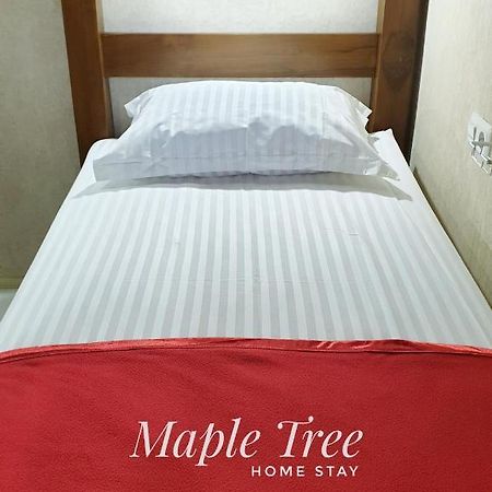 Maple Tree Homestay Maguwo Luaran gambar