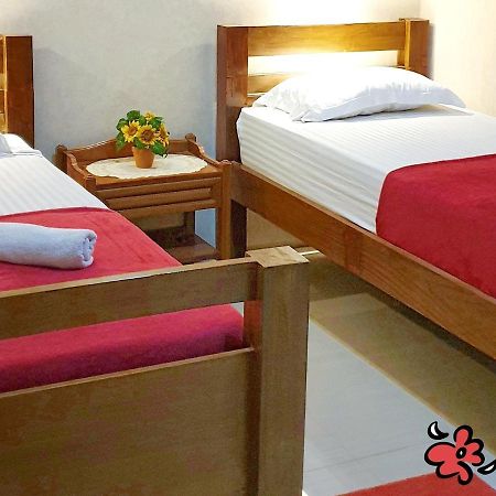 Maple Tree Homestay Maguwo Luaran gambar