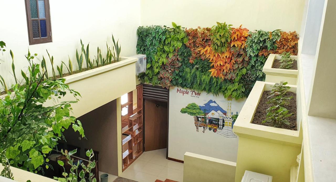 Maple Tree Homestay Maguwo Luaran gambar
