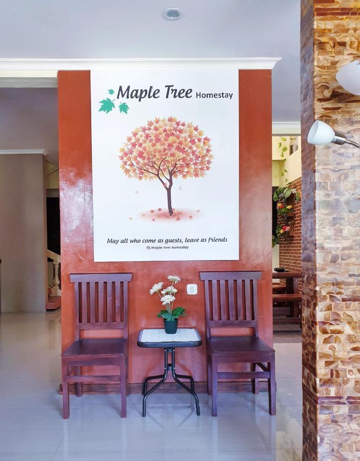 Maple Tree Homestay Maguwo Luaran gambar